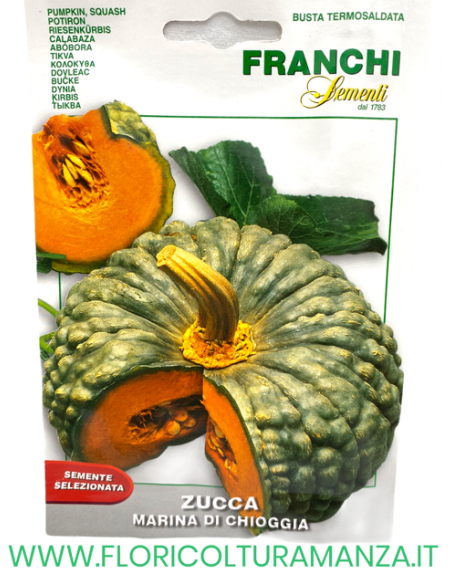ZUCCA MARINA DI CHIOGGIA