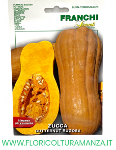 ZUCCA RUGOSA