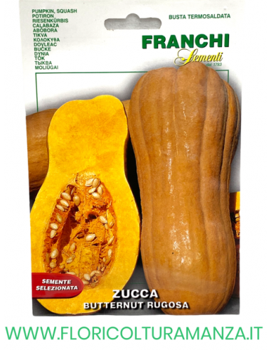 ZUCCA RUGOSA