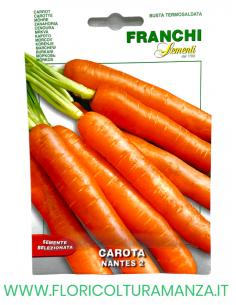 CAROTA NANTES 2