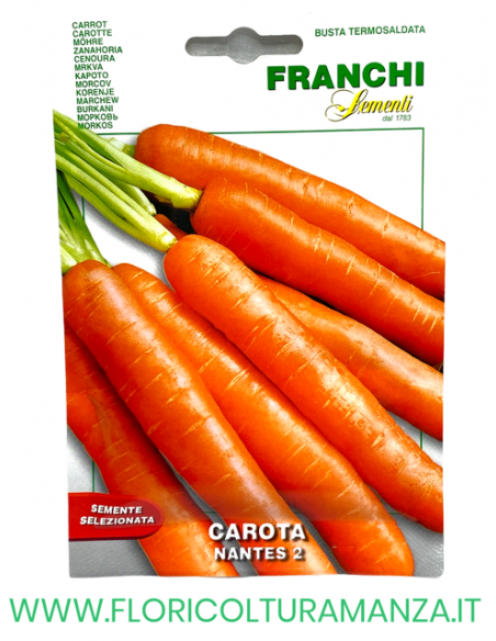 CAROTA NANTES 2