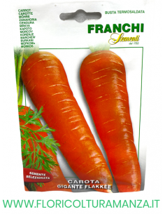 CAROTA GIGANTE FLAKKEE