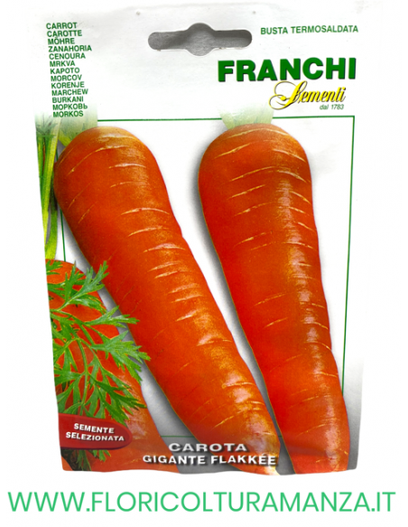 CAROTA GIGANTE FLAKKEE