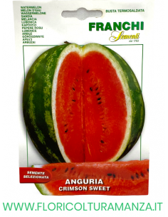 ANGURIA
