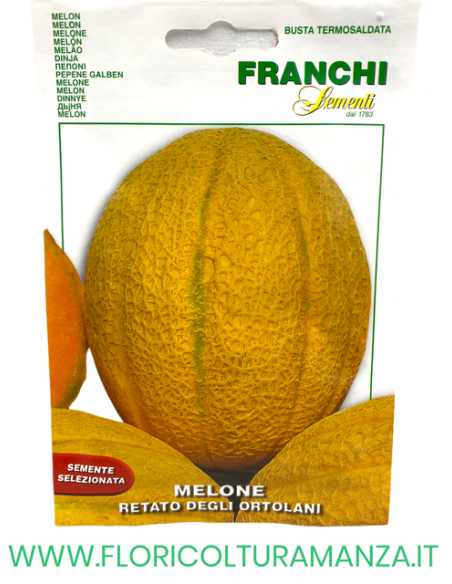 MELONE RETATO DEGLI ORTOLANI