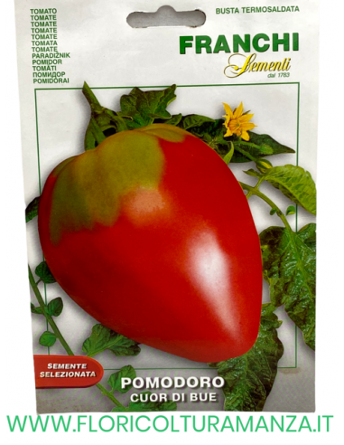POMODORO CUOR DI BUE