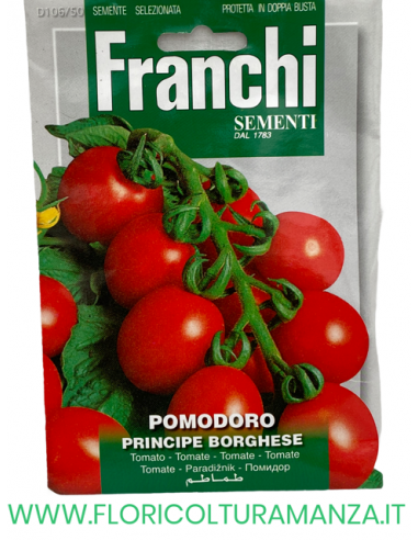 POMODORO PRINCIPE BORGHESE