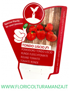 POMODORO INNESTATO TONDO LISCIO F1 2