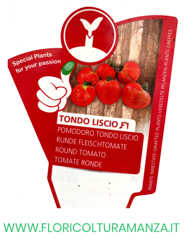 POMODORO INNESTATO TONDO LISCIO F1