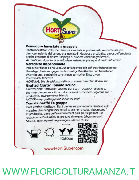 POMODORO INNESTATO GRAPPOLO F1