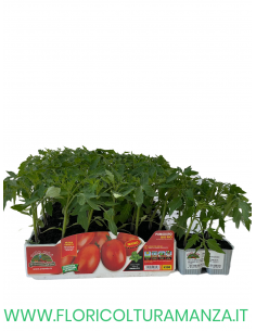 🍅 Pomodoro Big Rio