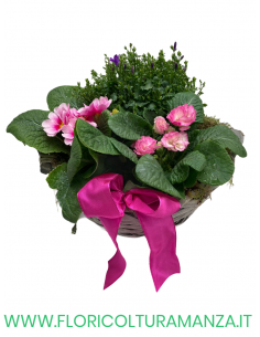 COMPOSIZIONE FLOREALE C1