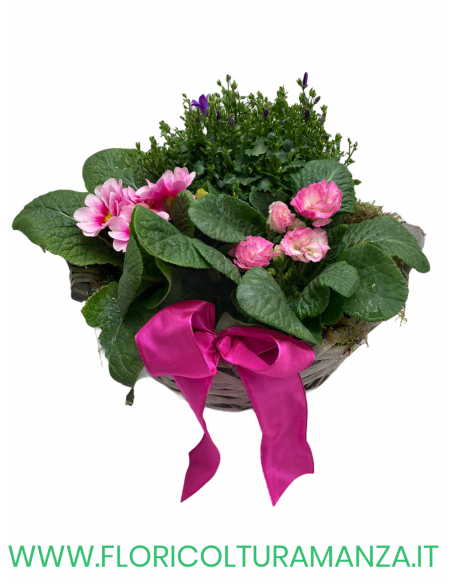 COMPOSIZIONE FLOREALE C1