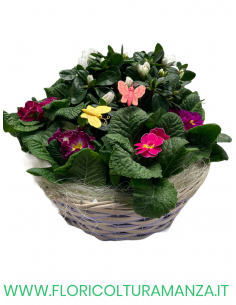 COMPOSIZIONE FLOREALE C3