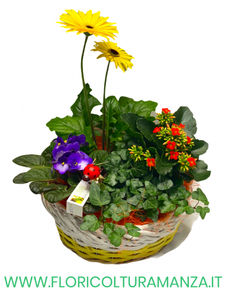 COMPOSIZIONE FLOREALE C5