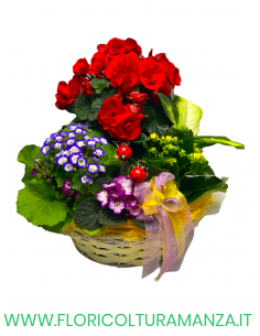 COMPOSIZIONE FLOREALE C4
