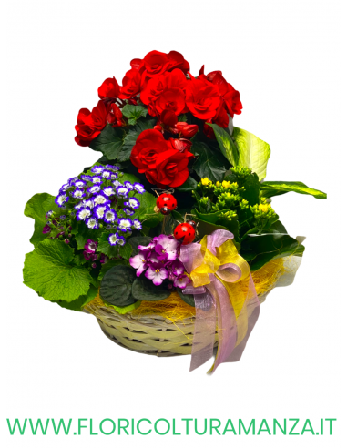 COMPOSIZIONE FLOREALE C4
