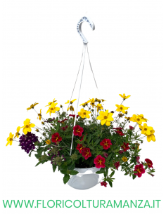 FIORI STAGIONALI MISTI BASKET