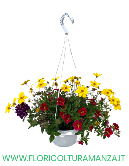FIORI STAGIONALI MISTI BASKET