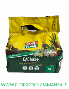 TERRICCIO PER PIANTE GRASSE  7 LT  VIGOR PLANT