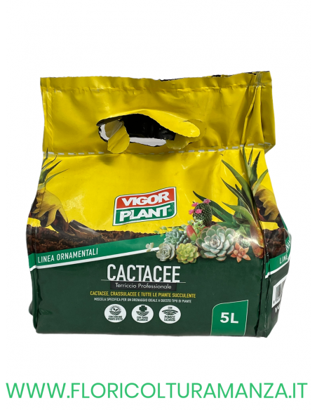 TERRICCIO PER PIANTE GRASSE  7 LT  VIGOR PLANT