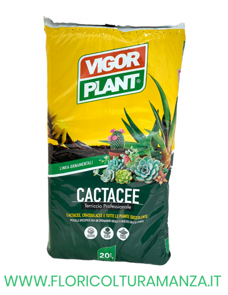 TERRICCIO PER PIANTE GRASSE 20LT  VIGOR PLANT