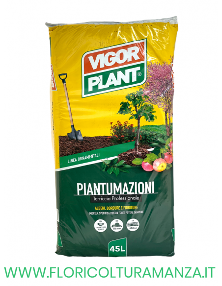 TERRICCIO PROFESSIONALE PER PIANTUMAZIONE 45 LT VIGORPLANT