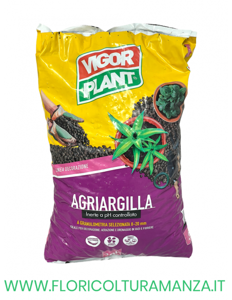 ARGILLA ESPANSA 1O LT VIGORPLANT