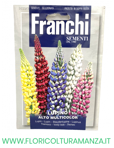 LUPINO ALTO MULTICOLOR