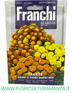 TAGETE NANO A FIORE DOPPIO MIX