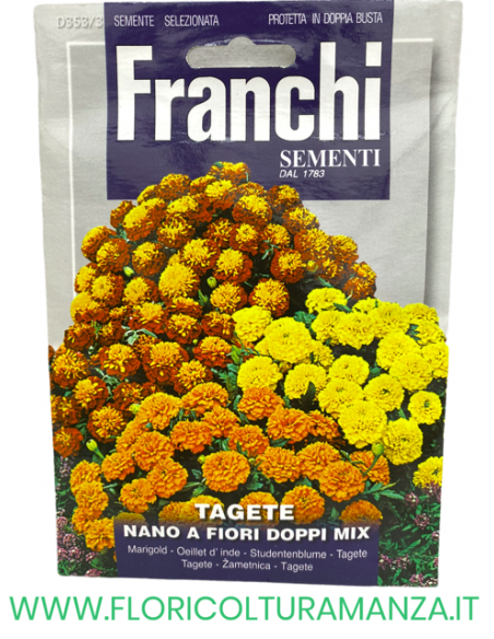 TAGETE NANO A FIORE DOPPIO MIX