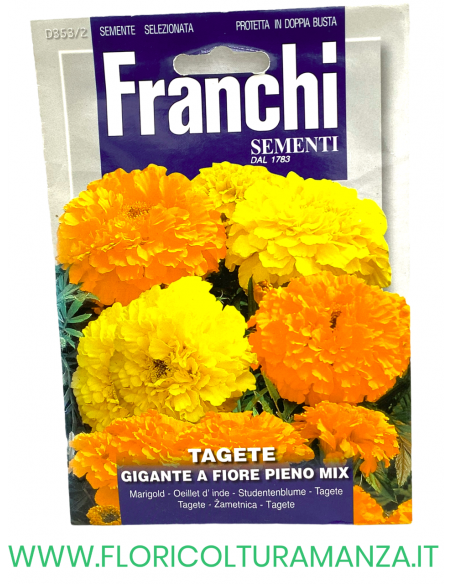 TAGETE GIGANTE A FIORE PIENO MIX