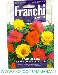 PORTULACA A FIORI DOPPI MULTICOLOR