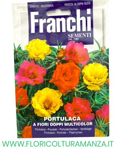 PORTULACA A FIORI DOPPI MULTICOLOR