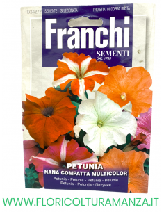 PETUNIA NANA COMPATTA MULTICOLOR