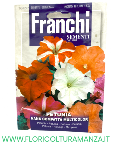 PETUNIA NANA COMPATTA MULTICOLOR