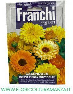 CALENDULA DOPPIA FIESTA MULTICOLOR
