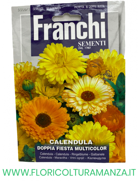 CALENDULA DOPPIA FIESTA MULTICOLOR