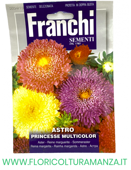 ASTRO PRINCESSE MULTICOLOR