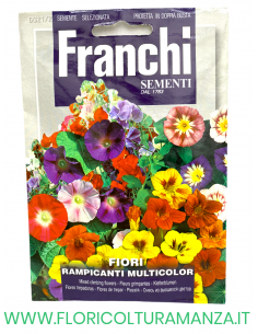 FIORI RAMPICANTI MULTICOLOR
