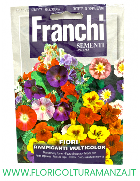 FIORI RAMPICANTI MULTICOLOR