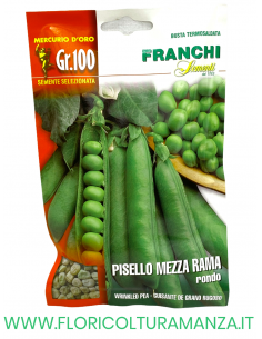 PISELLO MEZZA RAMA RONDO