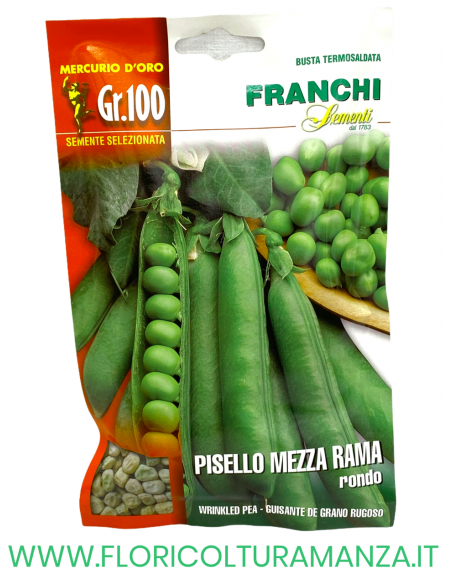 PISELLO MEZZA RAMA RONDO