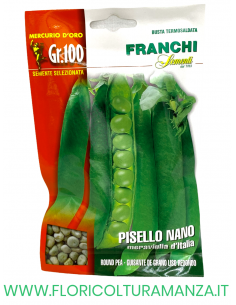 PISELLO NANO MERAVIGLIA D'ITALIA