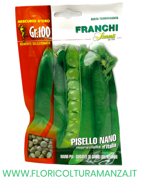 PISELLO NANO MERAVIGLIA D'ITALIA