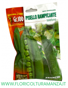 PISELLO RAMPICANTE