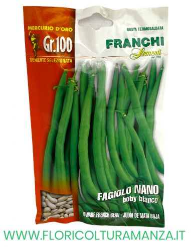 FAGIOLO NANO BOBY BIANCO