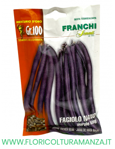 FAGIOLO NANO PURPLE KING
