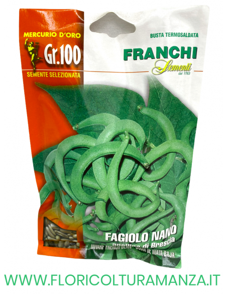 FAGIOLO NANO ANELLINO DI BRESCIA