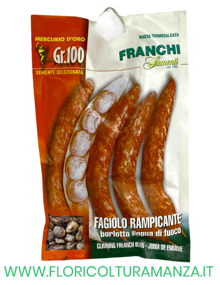 FAGIOLO RAMPICANTE BORLOTTO LINGUA DI FUOCO
